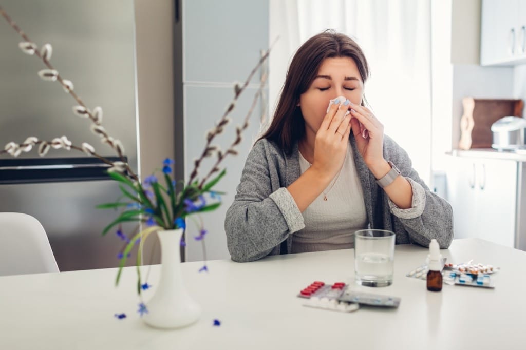 Your Guide to Corpus Christi Allergy Reports