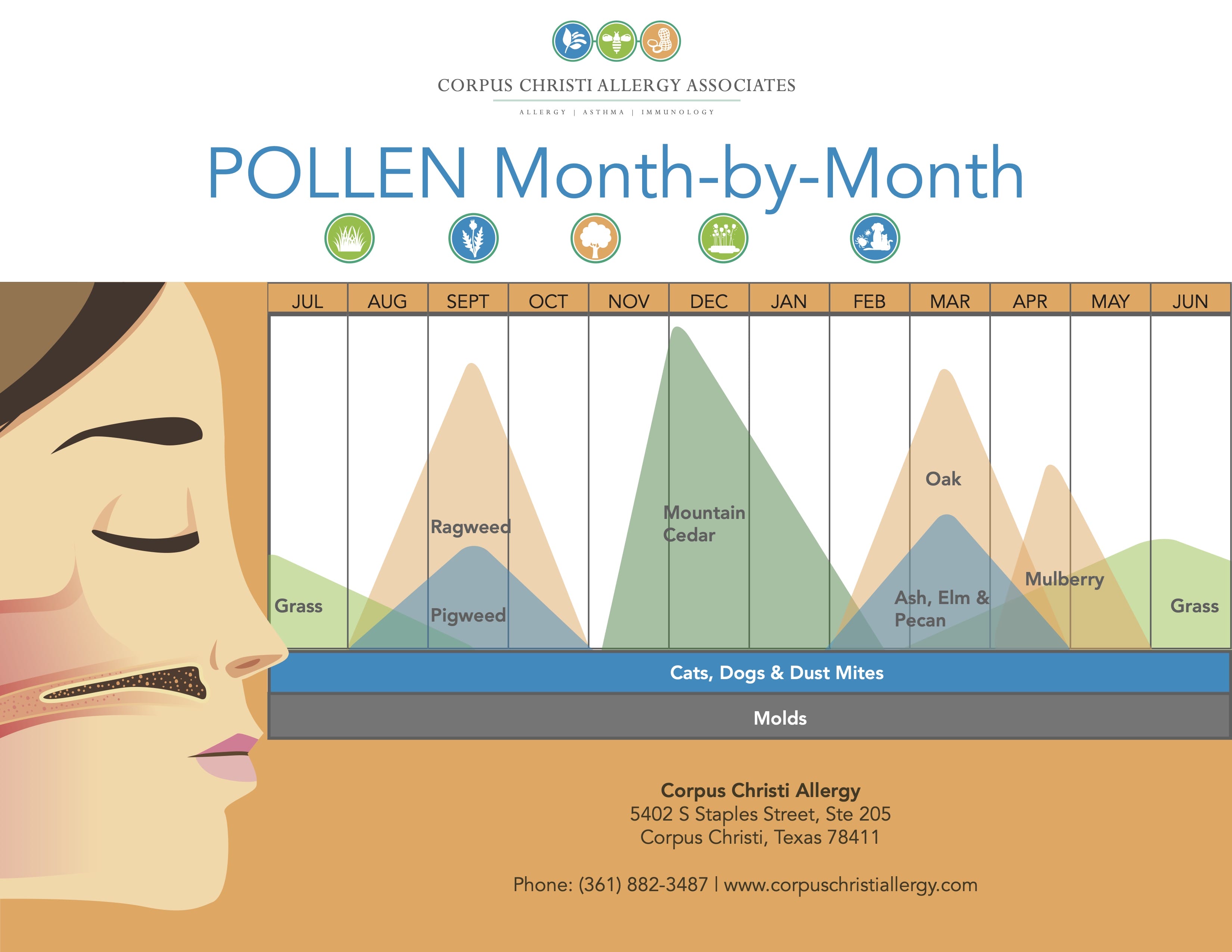 Corpus Christi Allergy Associates month-by-month pollen calendar showing seasonal allergen peaks in Corpus Christi Texas, including grass, ragweed, mountain cedar, oak, mulberry, and year-round allergens