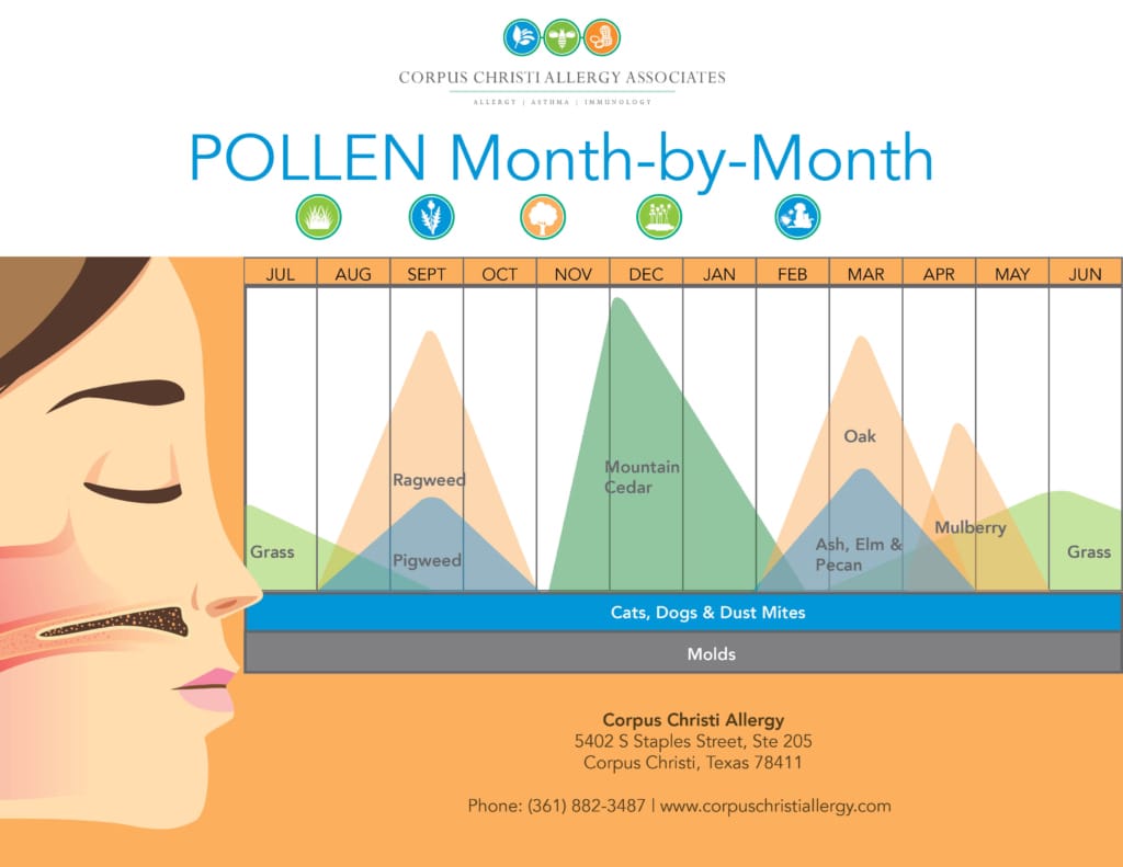 Texas pollen calendar for spring allergies
