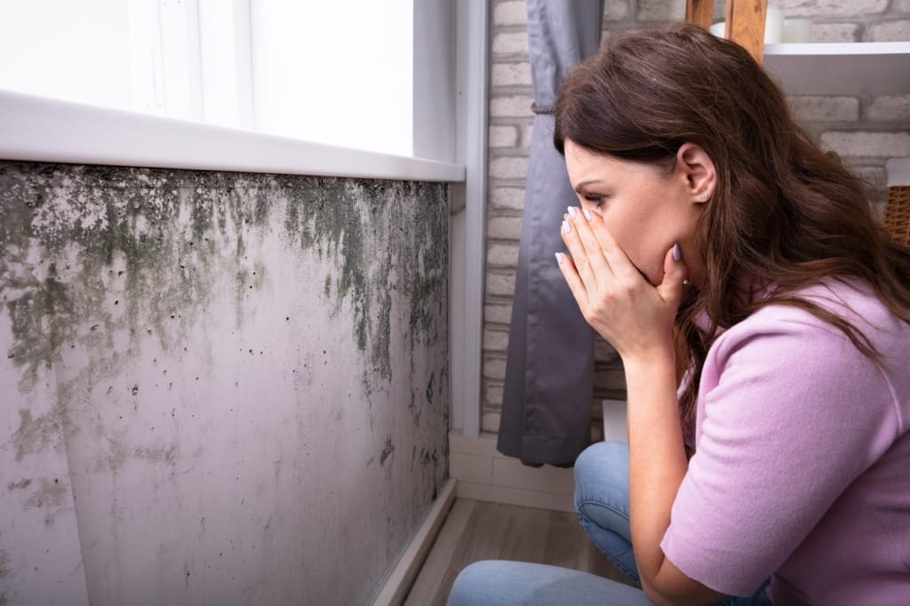 Indoor mold allergy trigger